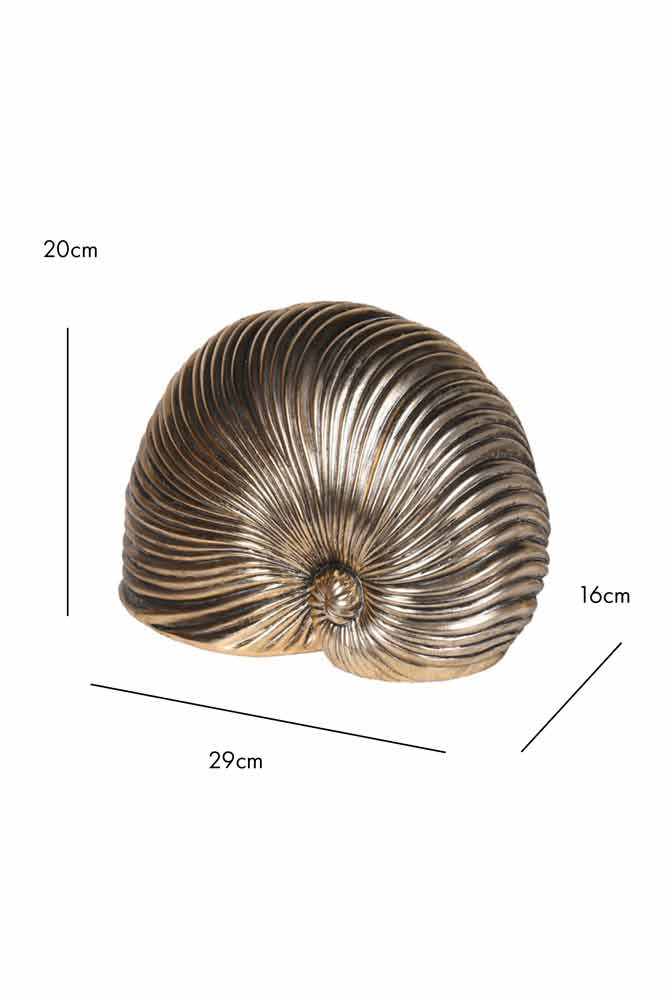 Brushed Gold Faux Sea Shell Ornament - Image 10