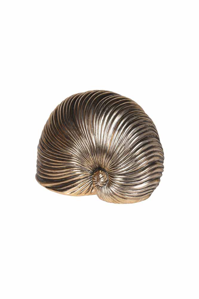 Brushed Gold Faux Sea Shell Ornament - Image 9