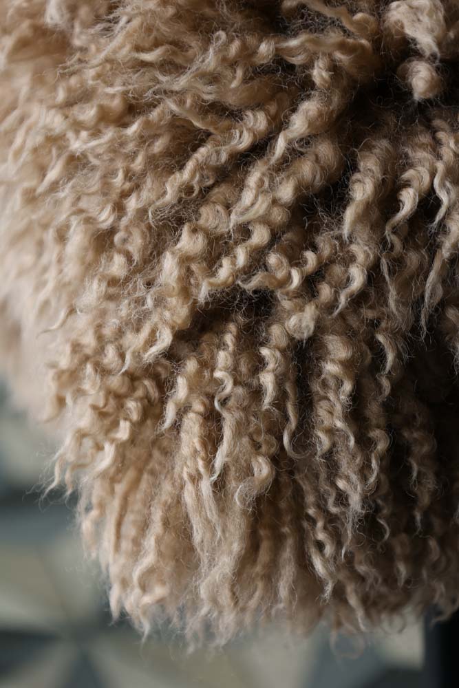 Curly Sheepskin Rug In Butterscotch - Image 4