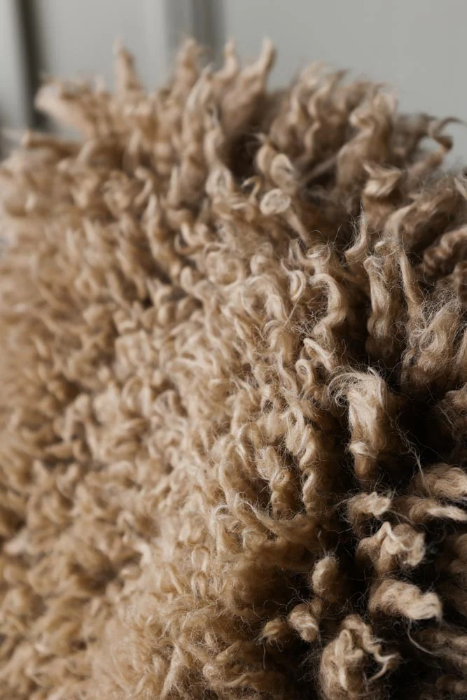 Curly Sheepskin Rug In Butterscotch - Image 5