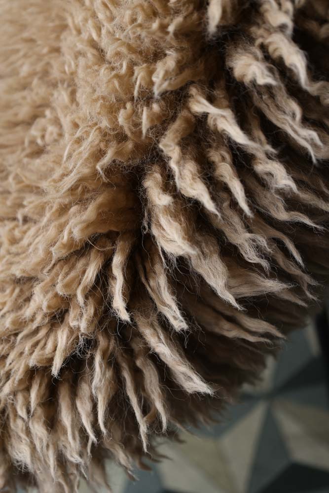 Curly Sheepskin Rug In Butterscotch - Image 6