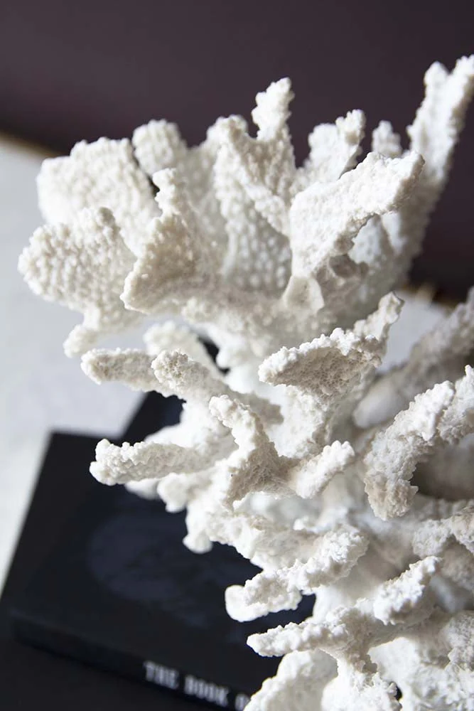 Faux Pure White Coral Ornament - Image 3