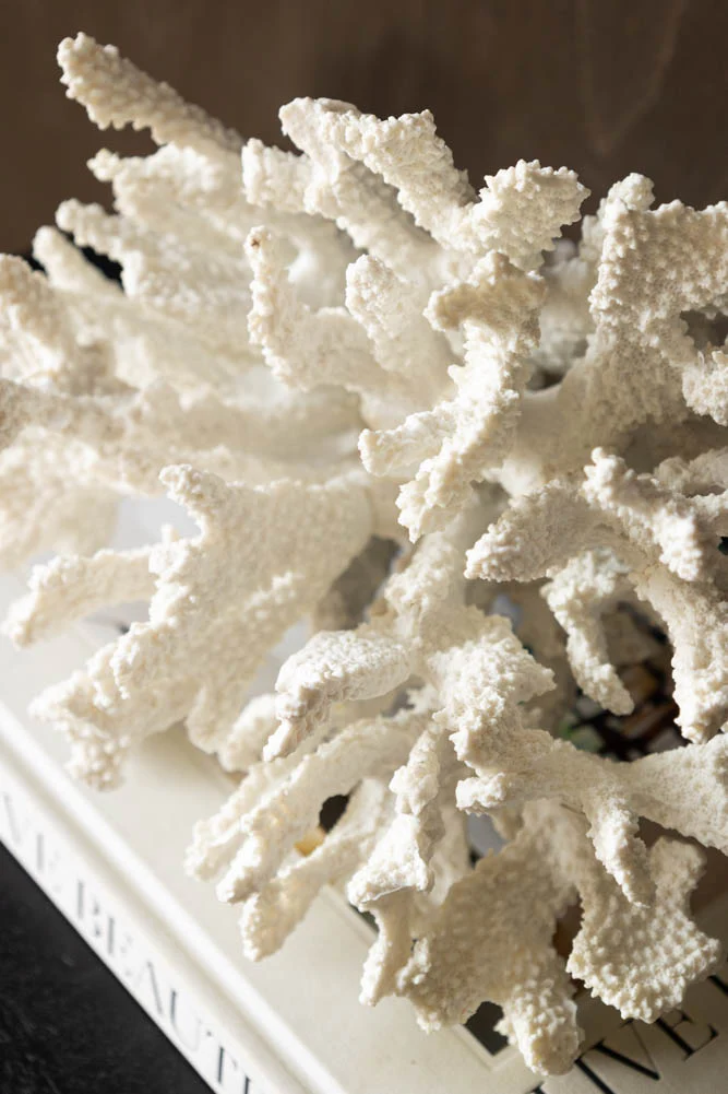 Faux Pure White Coral Ornament - Image 6