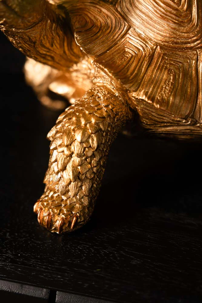 Gold Tortoise With Tray - Image 5