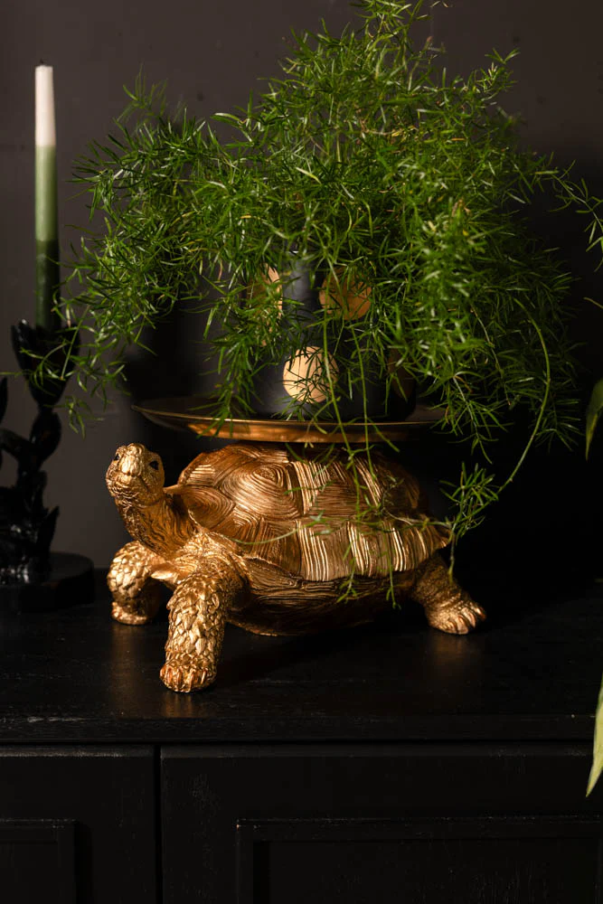 Gold Tortoise With Tray - Image 6