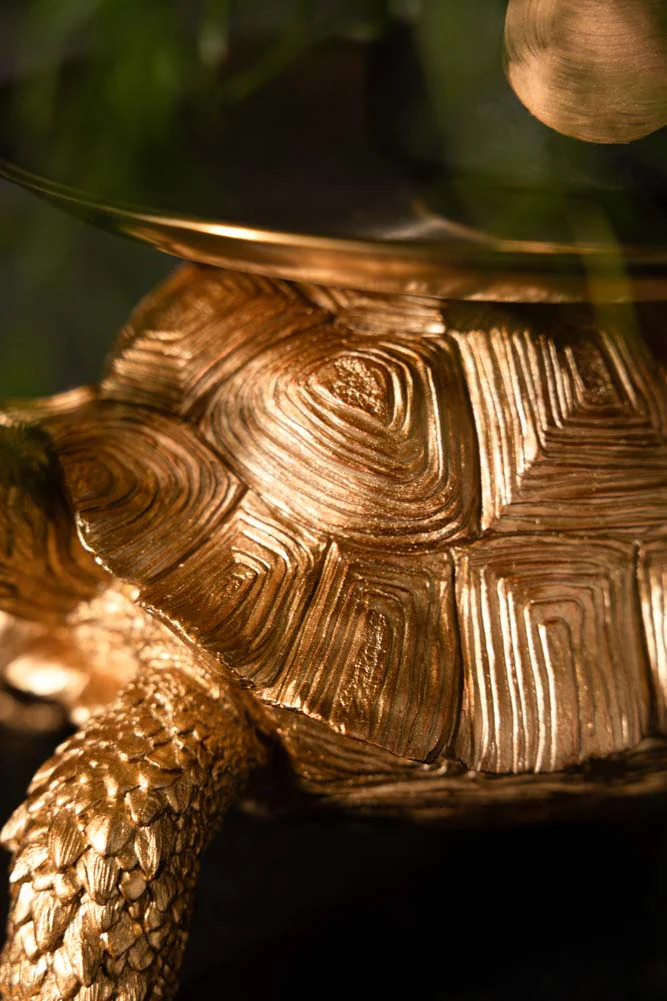 Gold Tortoise With Tray - Image 7
