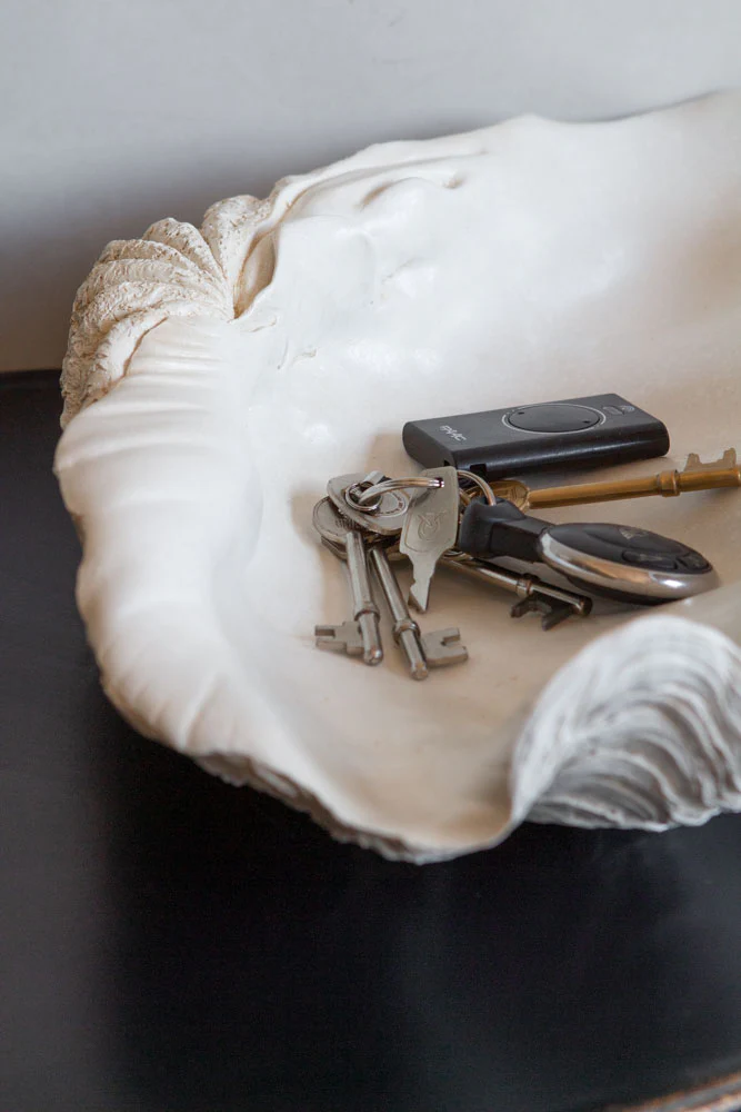 Large White Clam Shell Display Dish - Image 3