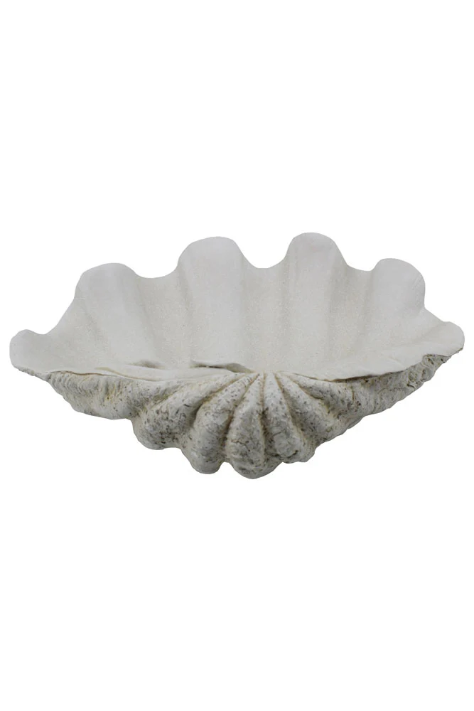 Large White Clam Shell Display Dish - Image 7