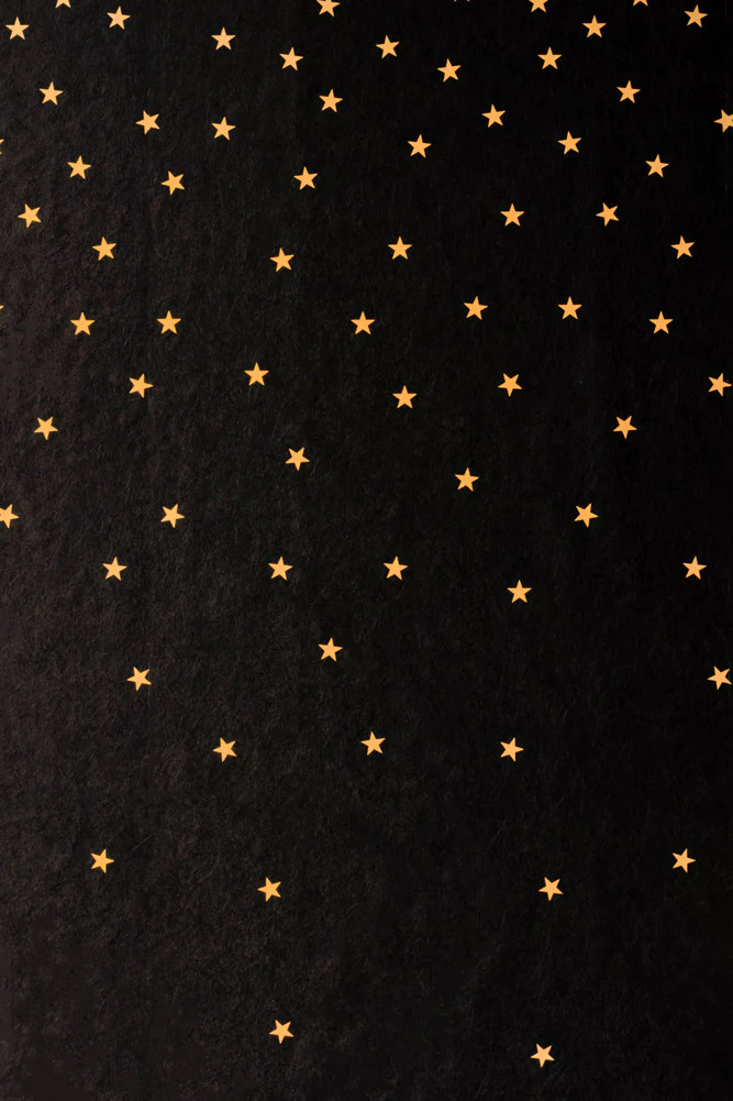 Rockett St George Falling Stars Black Mural - Image 12