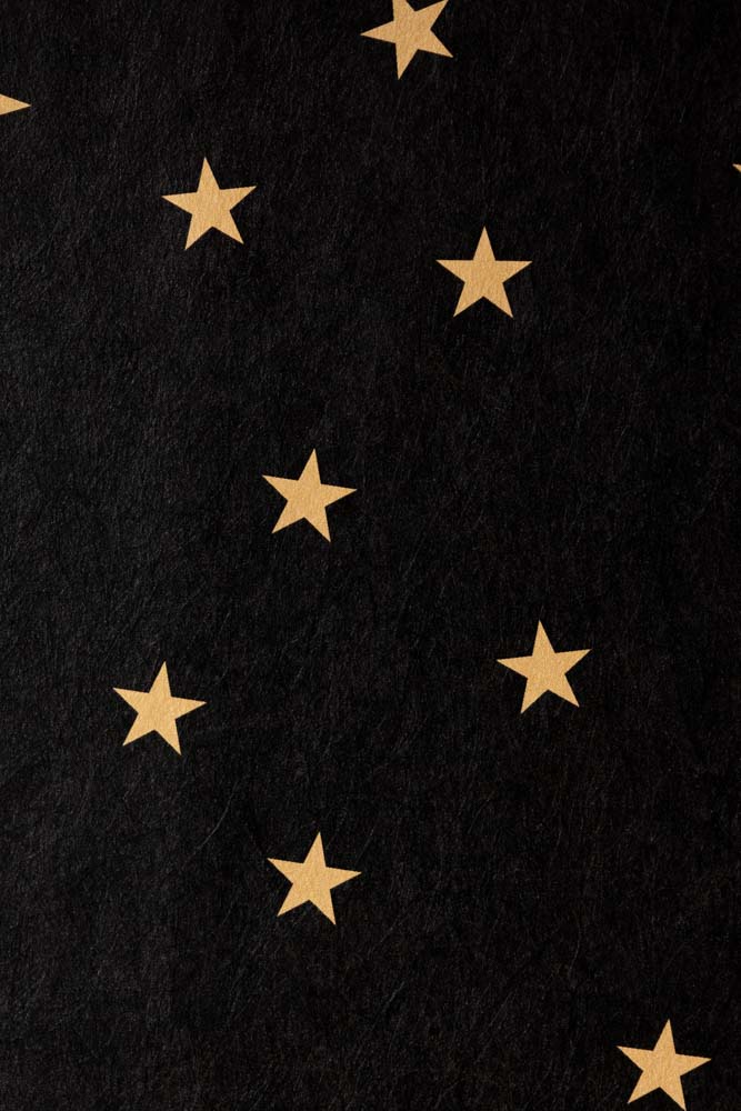 Rockett St George Falling Stars Black Mural - Image 17