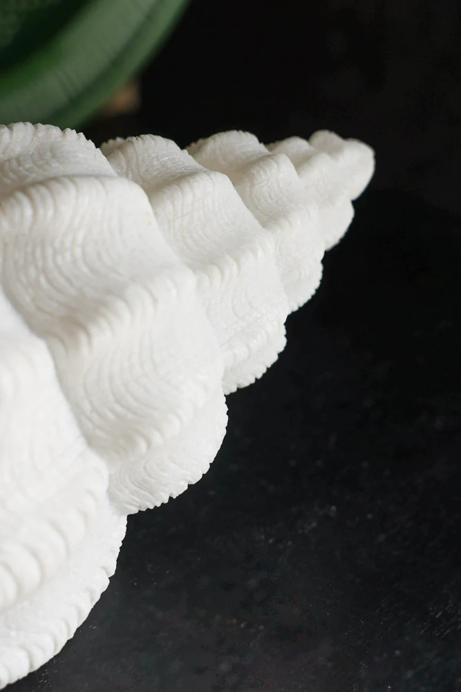 Sandstone Shell Table Lamp - Image 4