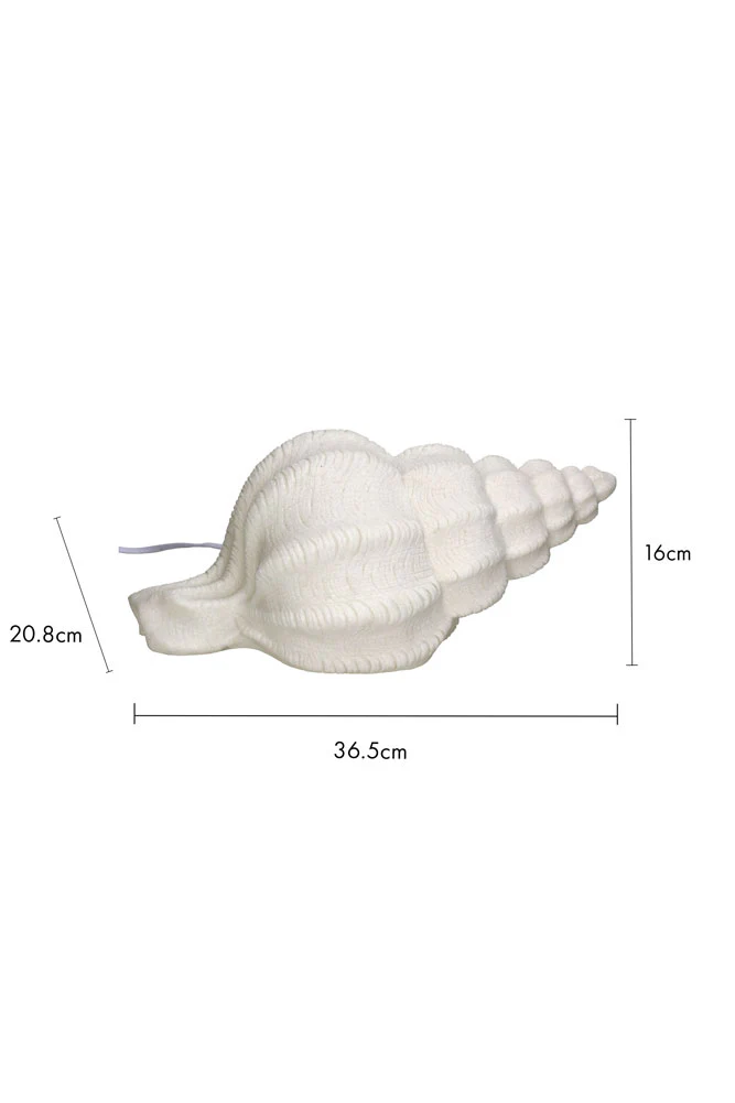Sandstone Shell Table Lamp - Image 7