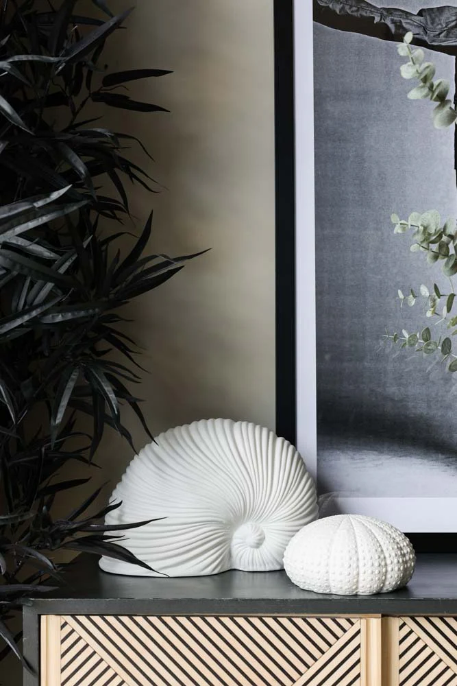 White Faux Sea Shell Ornament - Image 4