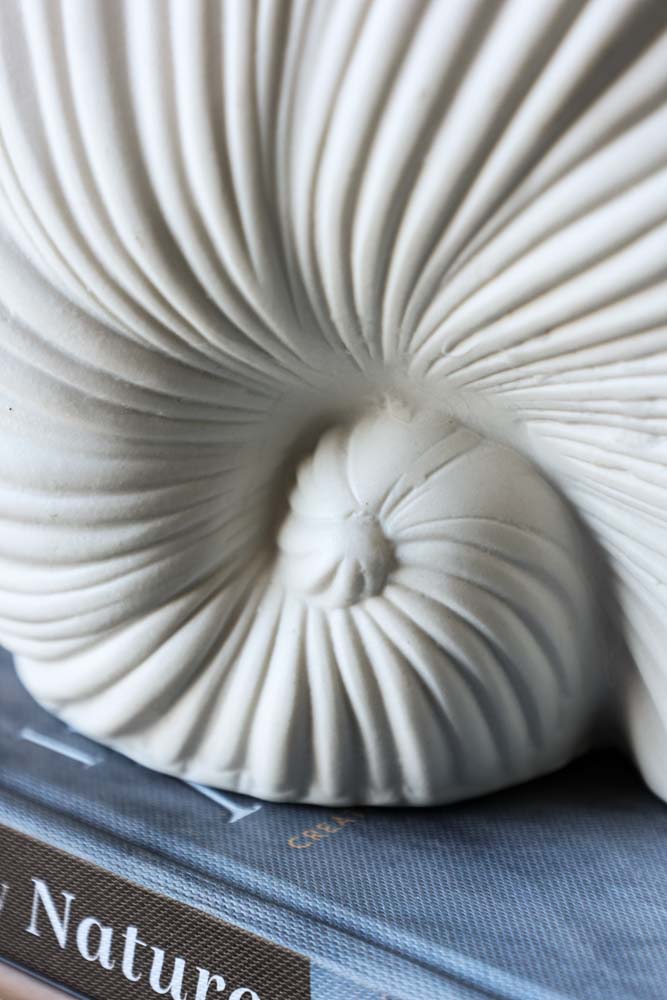White Faux Sea Shell Ornament - Image 5