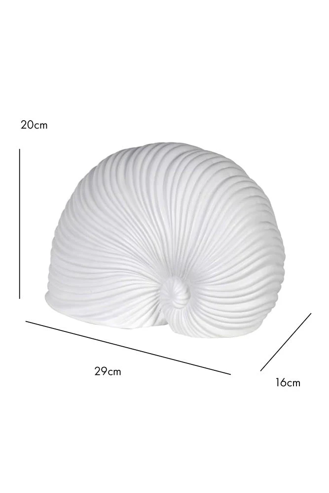 White Faux Sea Shell Ornament - Image 8
